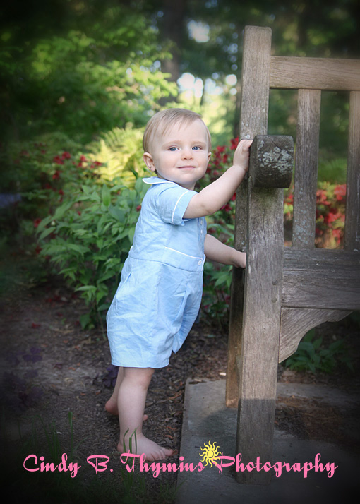 baby portraits in collierville